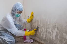 Best Mold Remediation for Healthcare Facilities  in Adamsville, TN